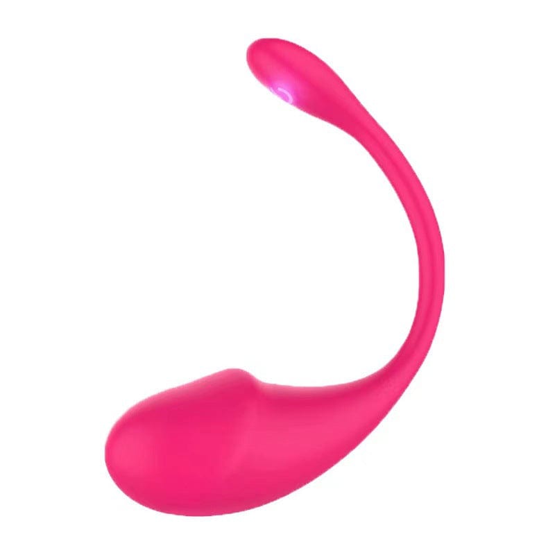Vibrador inalámbrico Bluetooth para punto G, juguete sexual para bragas, control por aplicación 